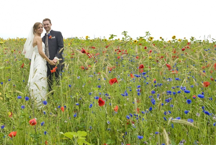 spontane trouwfotografie Limburg huwelijksreportage Schinveld Schinvelderhoeve 